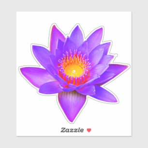Violet Lotus Blume Aufkleber