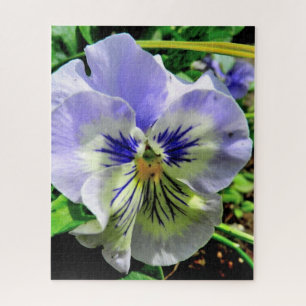 VIOLET PANSY PUZZLE