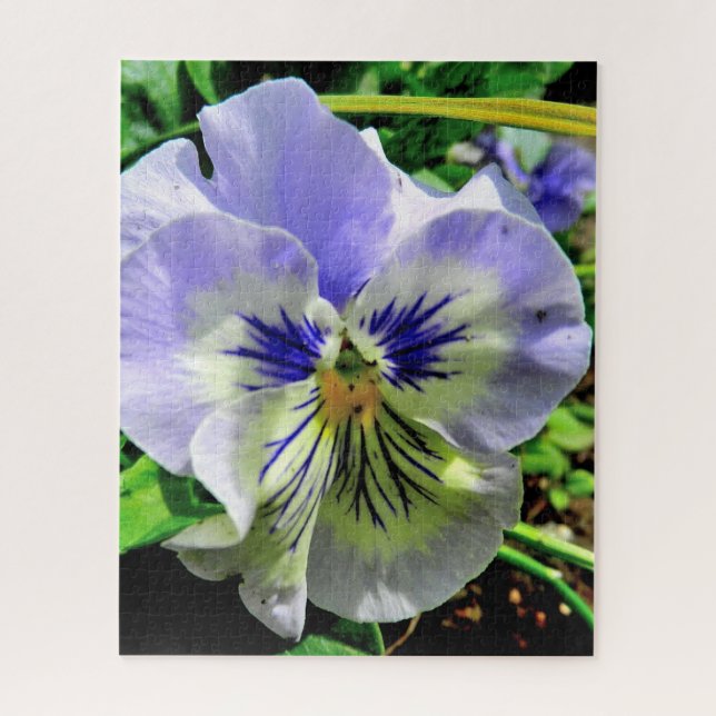 VIOLET PANSY PUZZLE (Vertikal)