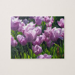 Violet Tulips, Oregon Puzzle