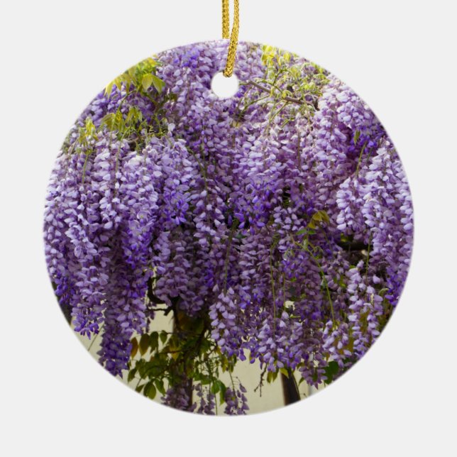 Violet Wisteria Blume Keramik Ornament (Vorne)