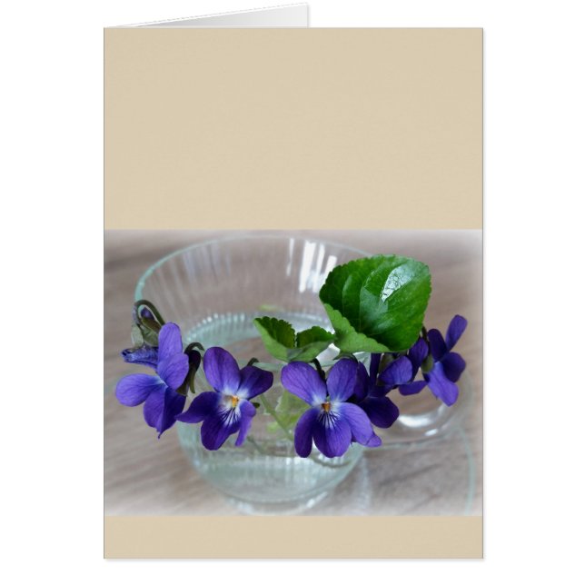 Violetbecher (Vorne)