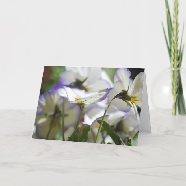 Violetkarte Karte (Vorderseite)