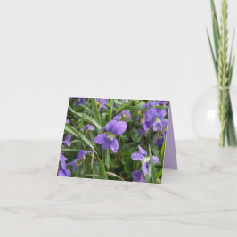 Violets - Horizontale Blankenkarte Karte