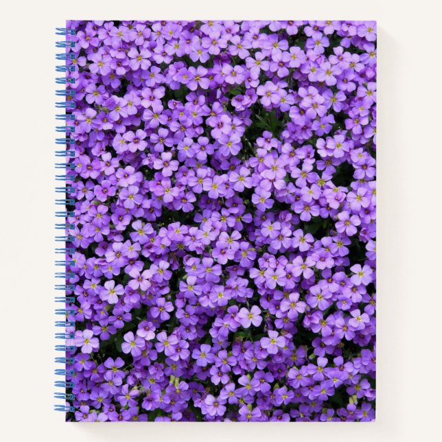 Violets-Notebook Notizbuch (Vorderseite)