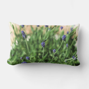 Violets Pillow Lendenkissen
