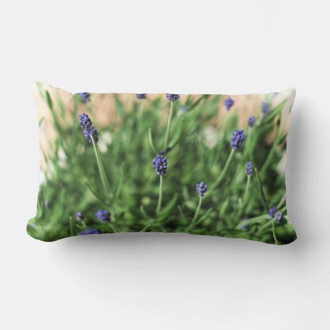Violets Pillow Lendenkissen (Vorderseite)