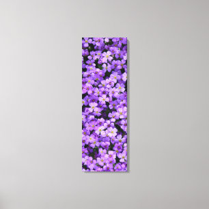 Violett Blume Canvas Print Violets Spring Leinwanddruck