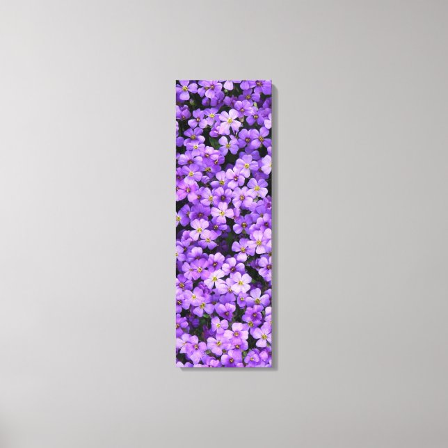 Violett Blume Canvas Print Violets Spring Leinwanddruck (Vorderseite)