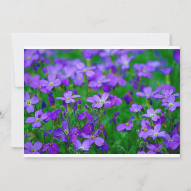 Violett-Blume Einladung (Vorderseite)