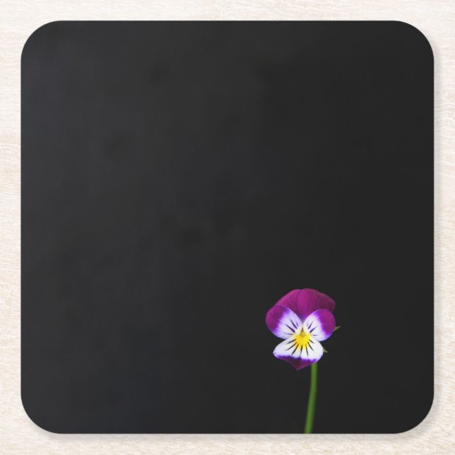 Violett-Blume-Küstenercnm Rechteckiger Pappuntersetzer (Vorderseite)