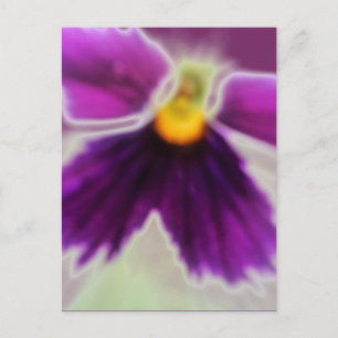 Violett-Blume, Lila weiß Postkarte