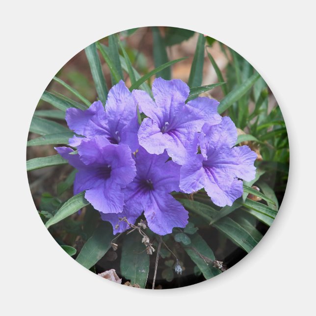 Violett-Blume-Magnet Magnet (Vorne)