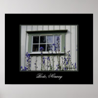 Violett-Blume und ein Windows-Poster