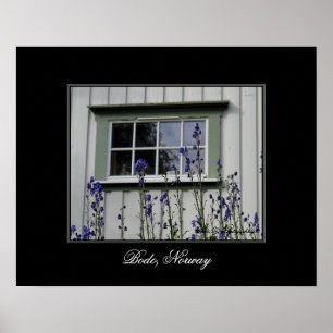 Violett-Blume und ein Windows-Poster Poster