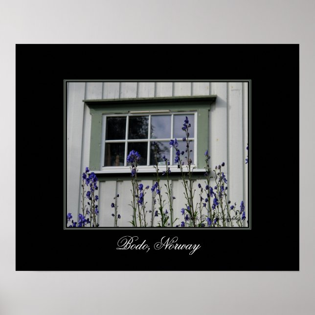 Violett-Blume und ein Windows-Poster Poster (Vorne)