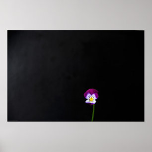 Violett Blume wapcn Poster