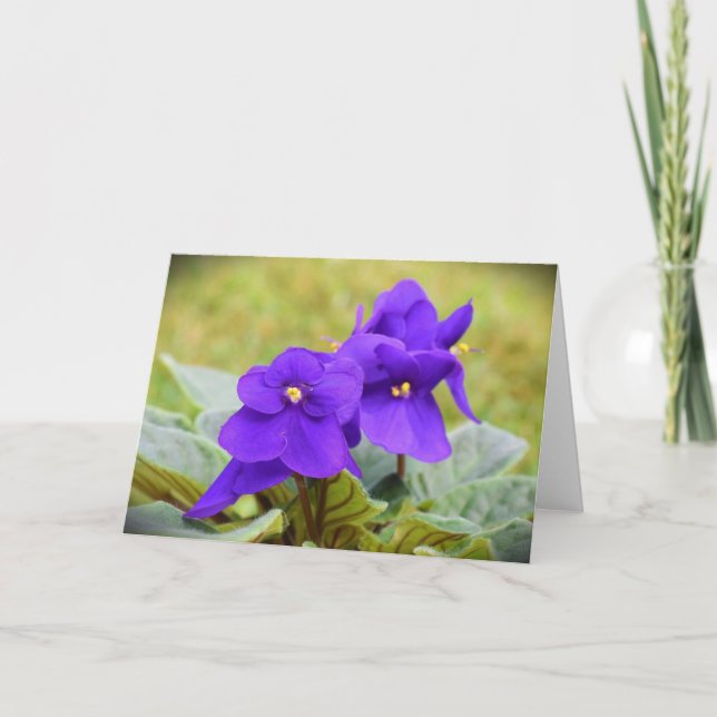 Violett, Karte (Vorderseite)