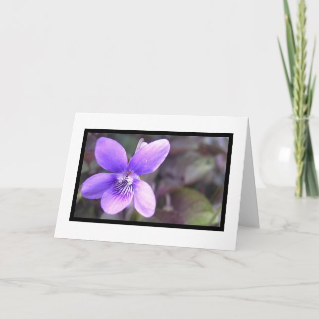 Violett Karte (Vorderseite)