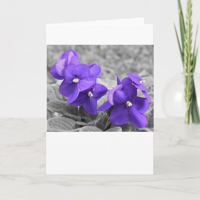 Violett, Karte (Vorderseite)