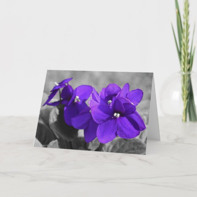 Violett, Karte (Vorderseite)