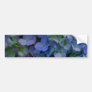 Violett lila-rosa-blaue Hydrangeas-Blume Autoaufkleber