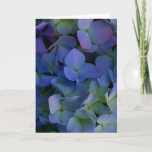Violett lila-rosa-blaue Hydrangeas-Blume Karte