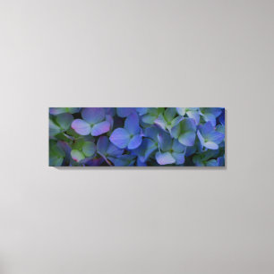 Violett lila rosa blaue Hydrangeas-Blume Leinwanddruck