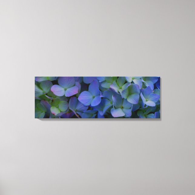 Violett lila rosa blaue Hydrangeas-Blume Leinwanddruck (Vorderseite)
