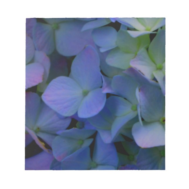 Violett lila-rosa-blaue Hydrangeas-Blume Notizblock (Vorderseite)