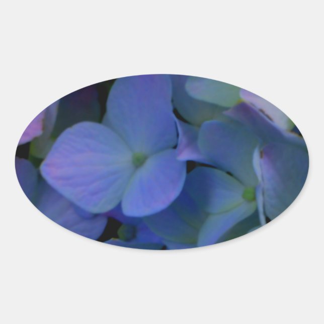 Violett lila-rosa-blaue Hydrangeas-Blume Ovaler Aufkleber (Vorderseite)