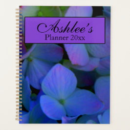 Violett lila rosa blaue Hydrangeas-Blume Planer