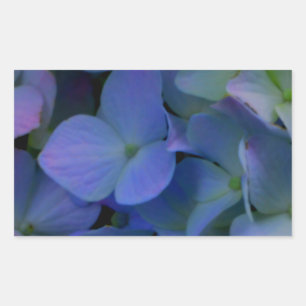 Violett lila-rosa-blaue Hydrangeas-Blume Rechteckiger Aufkleber