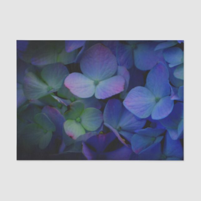 Violett lila-rosa-blaue Hydrangeas-Blume Seidenpapier (Vorderseite)