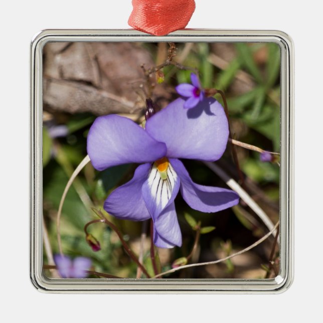 Violett von Vögeln mit Blüten Silbernes Ornament (Vorne)