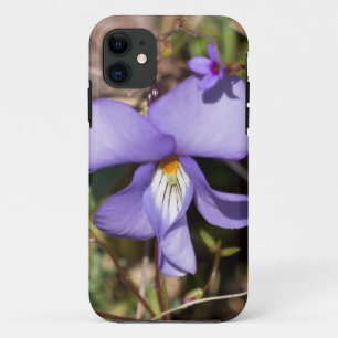 Violettblättriges Stiefmütterchen mit Vergissmeinn iPhone 11 Hülle