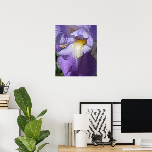 Violette Bartirisblüte Poster (Heimbüro)