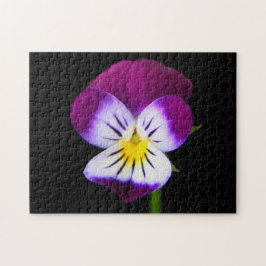 Violette Blume 11x14 252pc jpcnm Puzzle