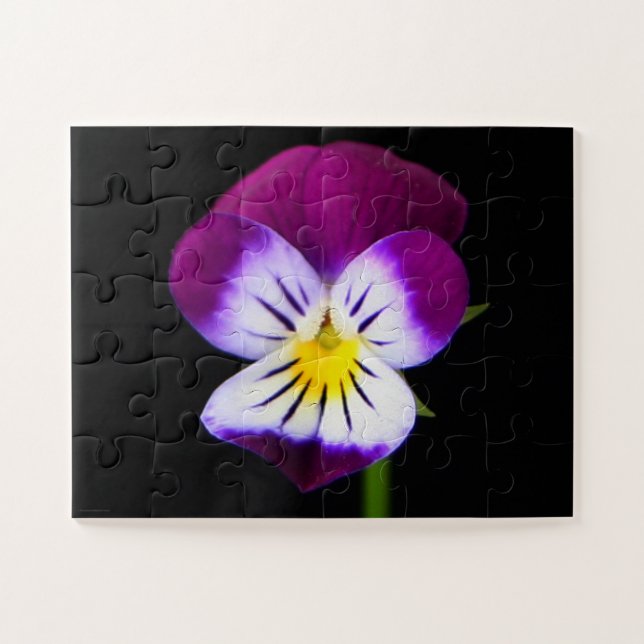 Violette Blume 11x14 30pc jpcnm Puzzle (Horizontal)