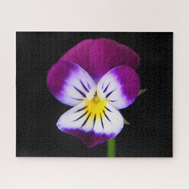 Violette Blume 16x20 520pc jpcnm Puzzle (Horizontal)