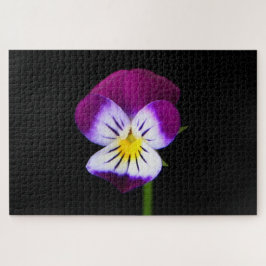Violette Blume 20x30 1014pc jpm Puzzle