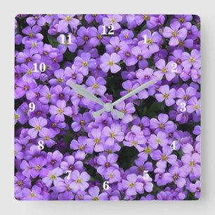 Violette Blume - Frühjahr Quadratische Wanduhr