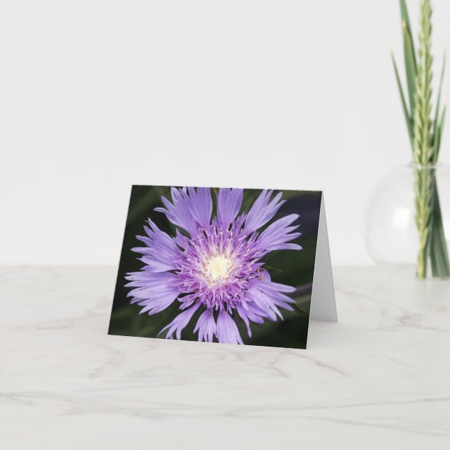 Violette Blume Notecard Karte (Vorderseite)