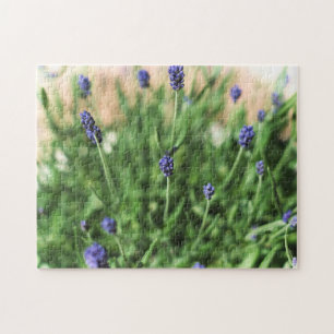 Violette Blume - Puzzle