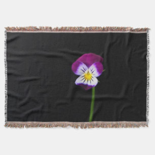 Violette Blume tbcn Decke