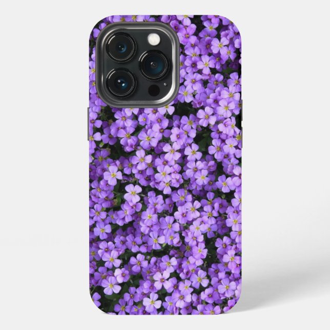 Violette Blumen iPhone-Hülle Veilchen Frühling iPhone Hülle (Hinten)