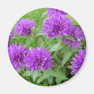 violette Blumen Magnet