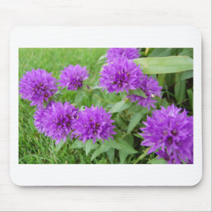 violette Blumen Mousepad