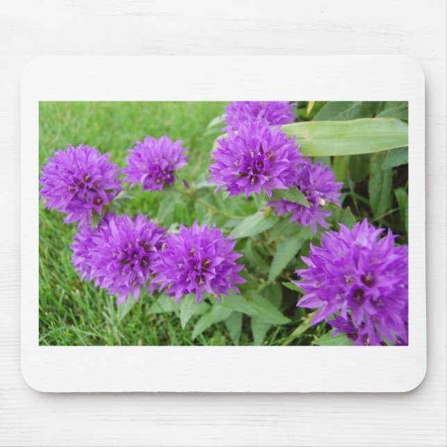 violette Blumen Mousepad (Vorne)