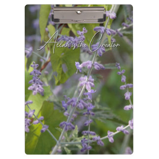 Violette Blumenbeete Garten Fotografie Klemmbrett